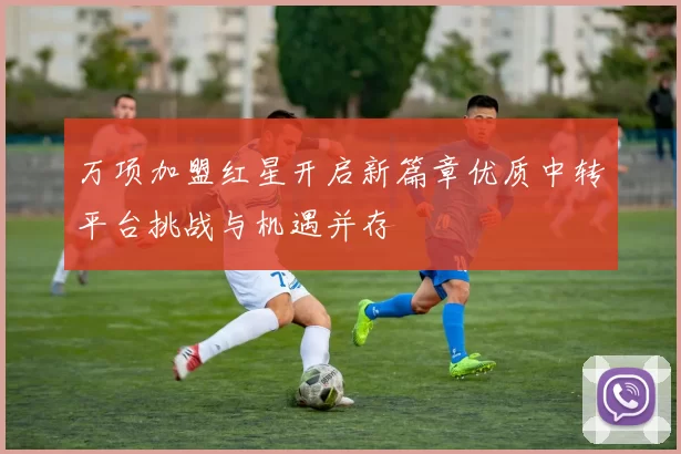 万项加盟红星开启新篇章优质中转平台挑战与机遇并存