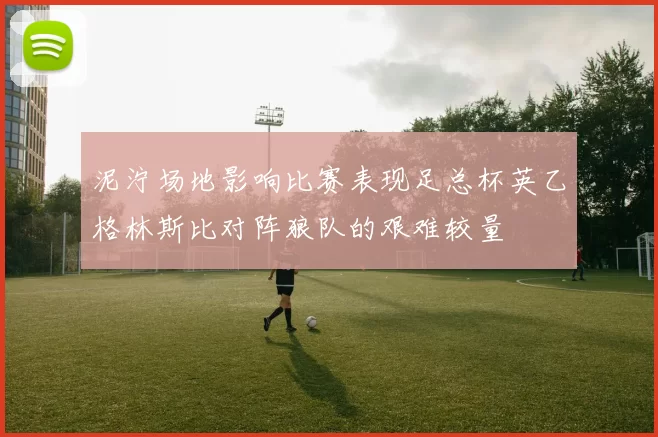 泥泞场地影响比赛表现足总杯英乙格林斯比对阵狼队的艰难较量